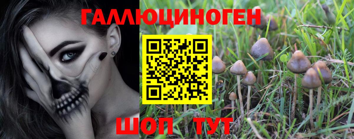 Псилоцибиновые грибы мухоморы  Вход с VPN  где найти   Боровичи 